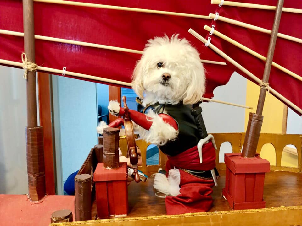 Sinbad Dog Costume