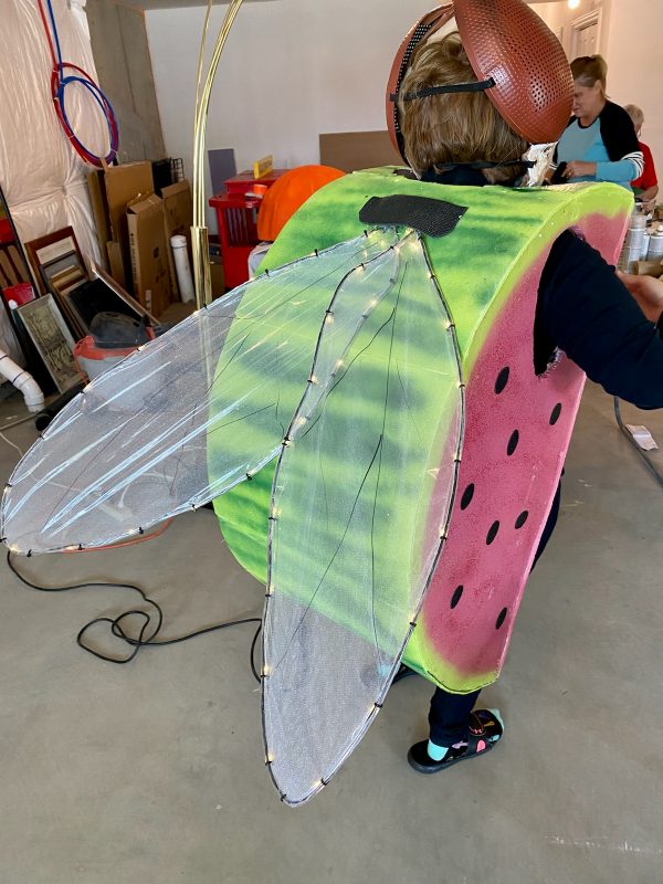 Coolest Freaky Fruit Flies Group Costume
