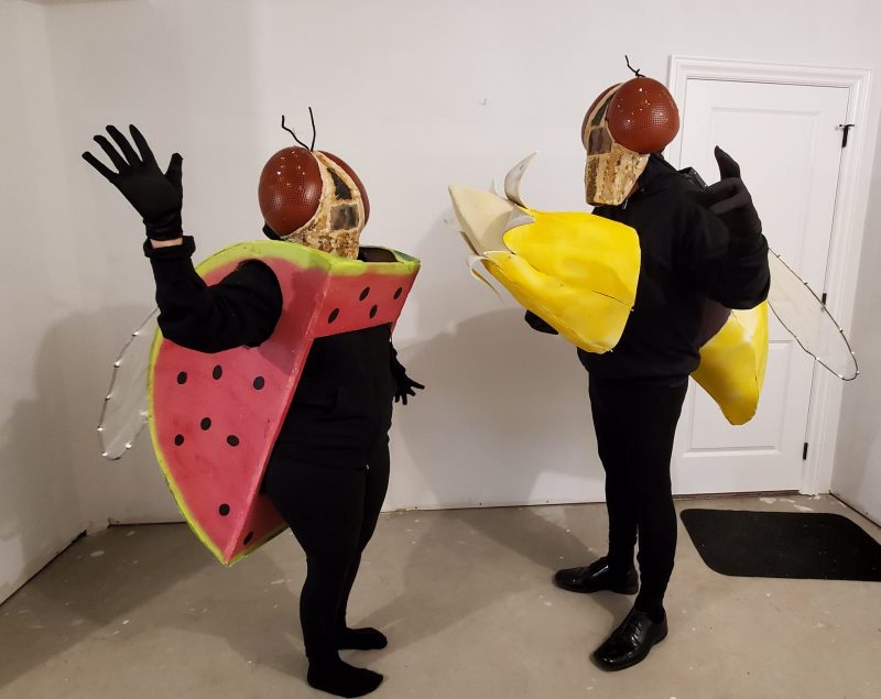 Coolest Freaky Fruit Flies Group Costume