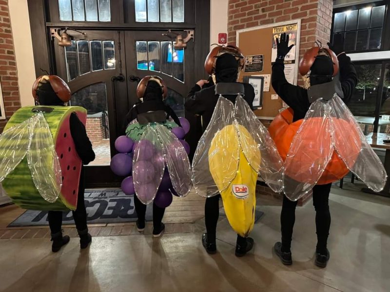 Coolest Freaky Fruit Flies Group Costume