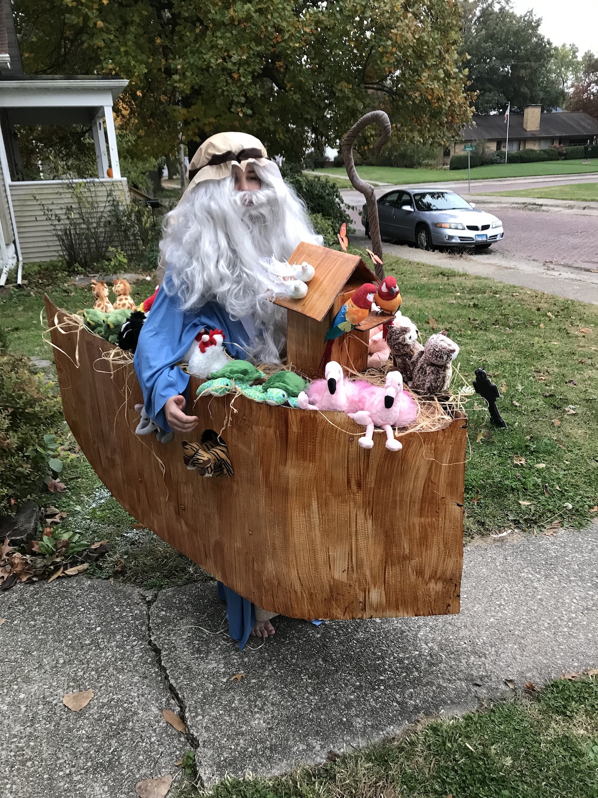 Cool DIY Noah and his Ark Costume