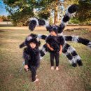 Coolest DIY Spider and Fly Child Costumes