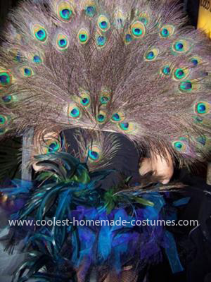 Peacock at Spirit Halloween